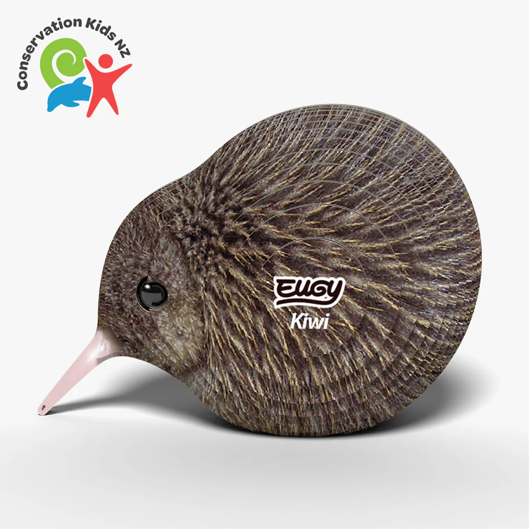 001 Kiwi - Image 3