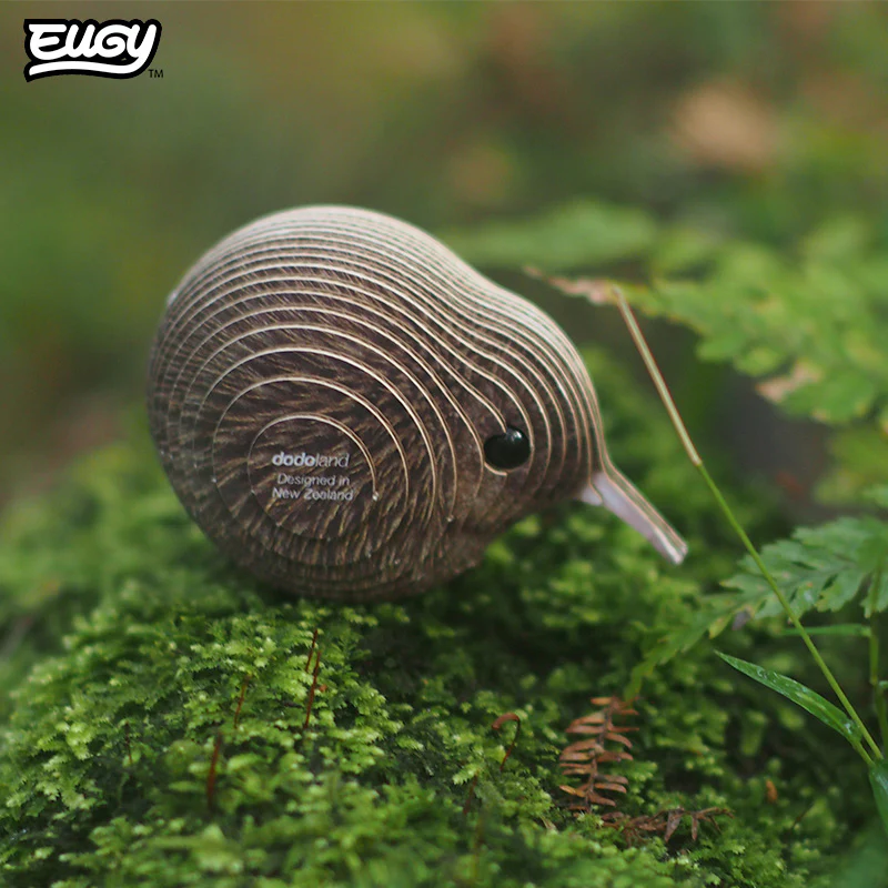001 Kiwi - Image 7