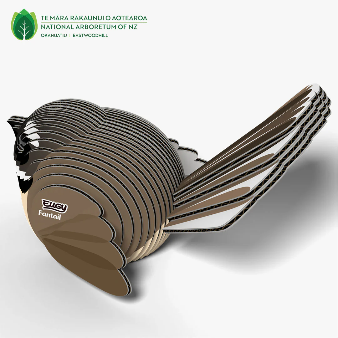 002 Fantail (Pīwakawaka) - Image 4