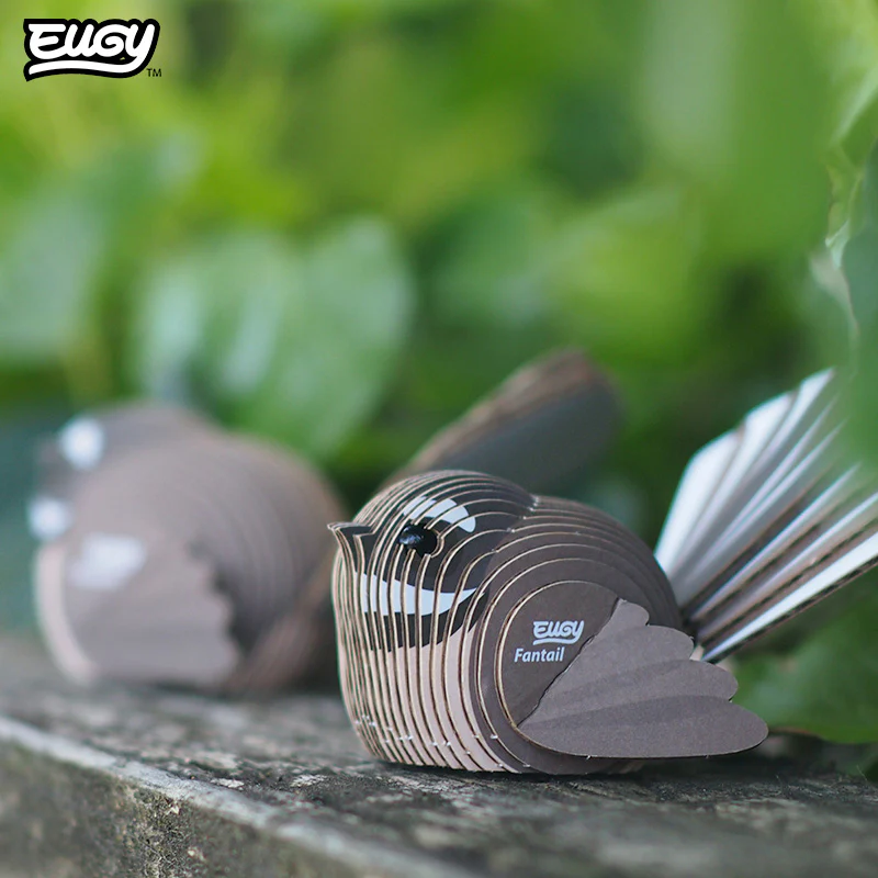 002 Fantail (Pīwakawaka) - Image 7