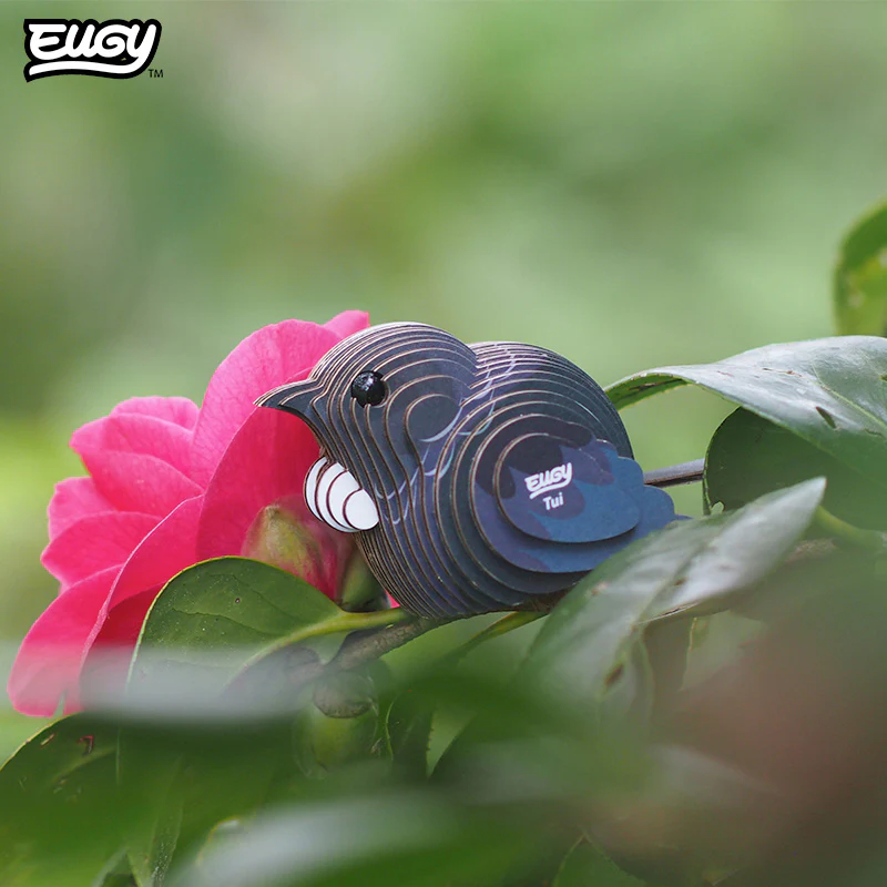 003 Tui (Tūī) - Image 7