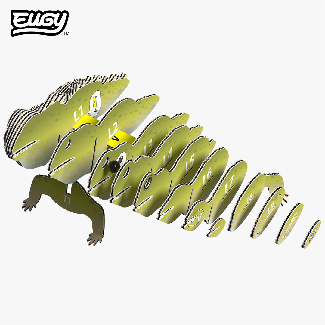 004 Tuatara - Image 5
