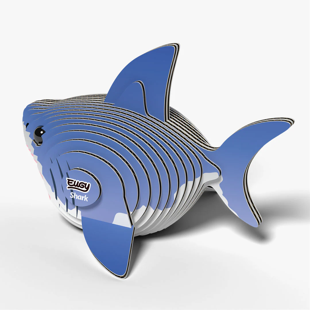 019 Shark - Image 4