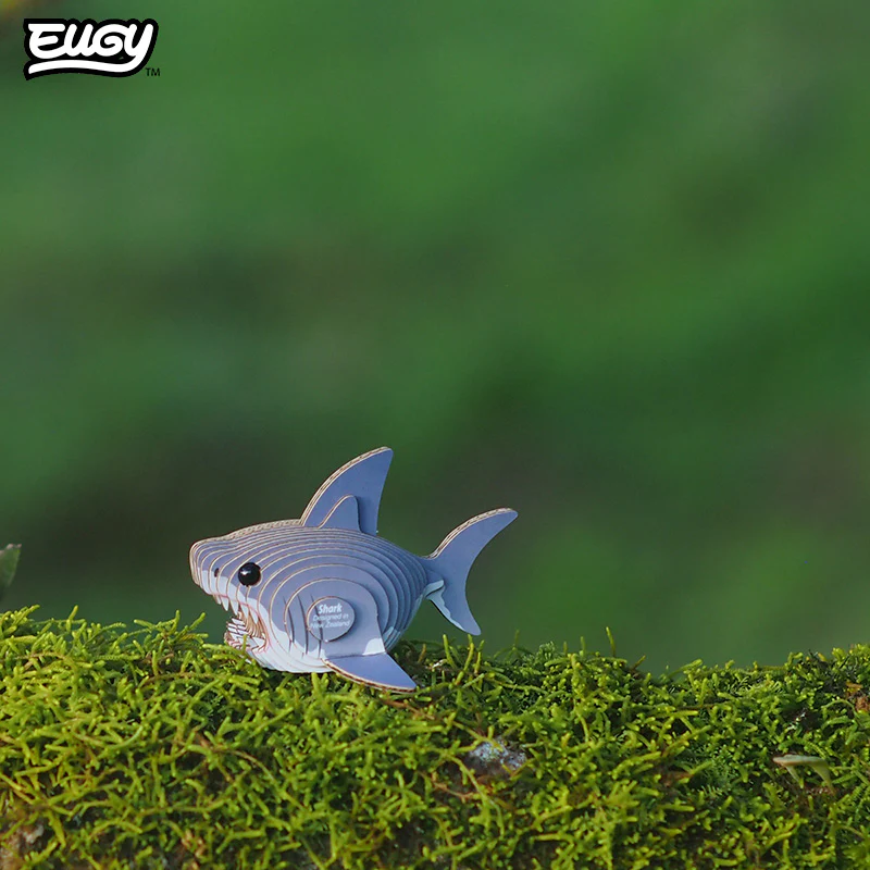 019 Shark - Image 8