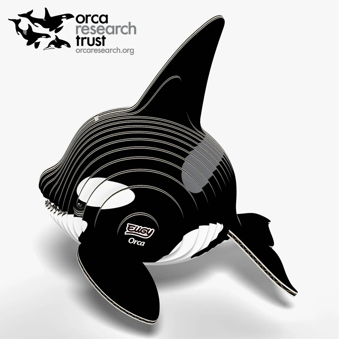 020 Orca - Image 3