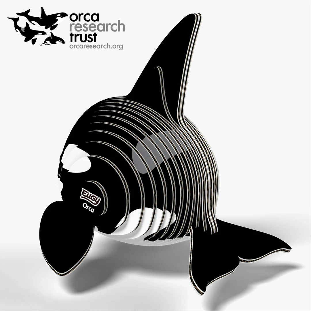 020 Orca - Image 4