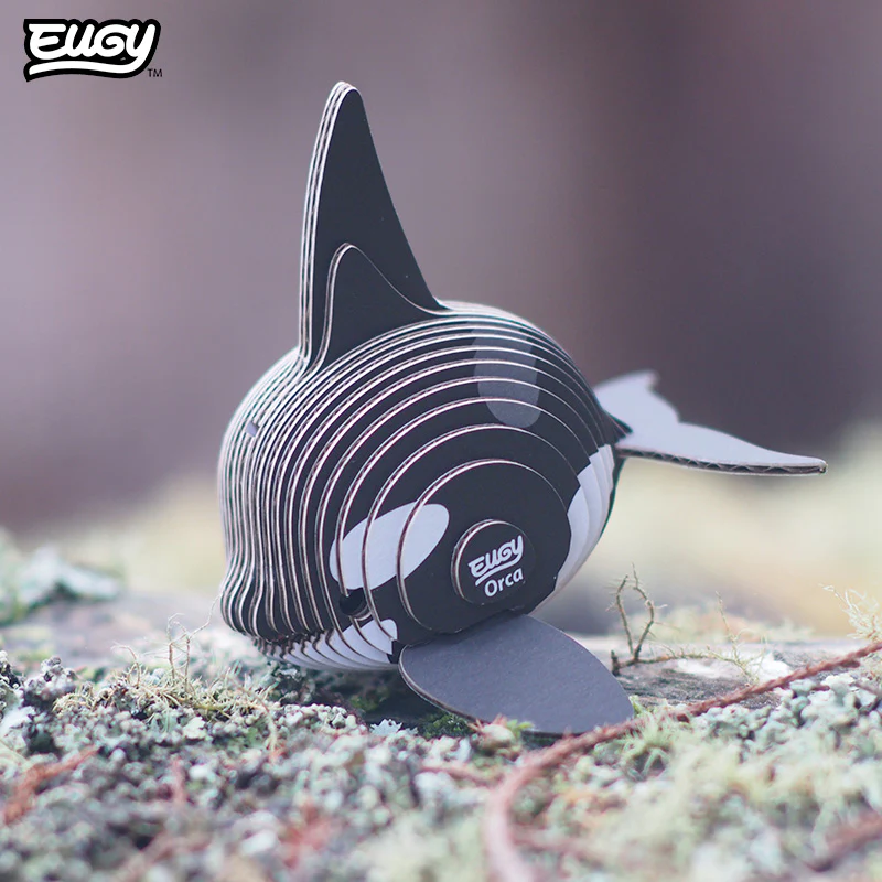 020 Orca - Image 7