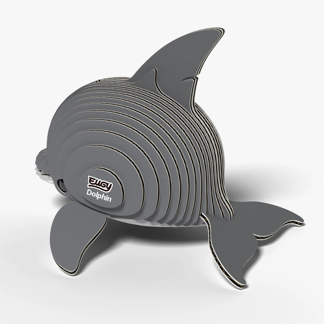 021 Dolphin - Image 4