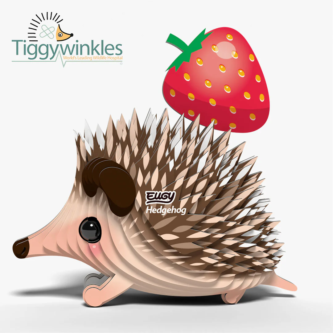 026 Hedgehog - Image 3