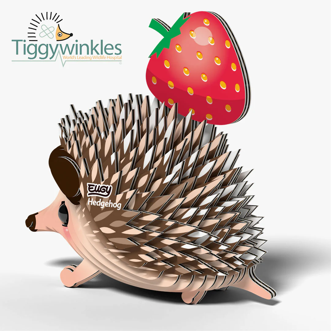 026 Hedgehog - Image 4