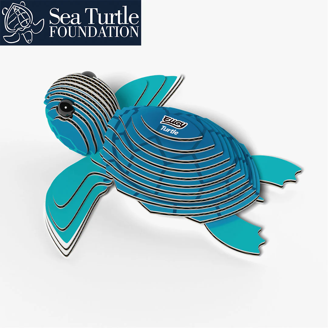 038 Turtle - Image 4
