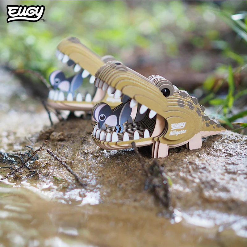 043 Alligator - Image 8