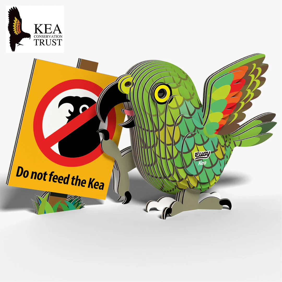 047 Kea - Image 2