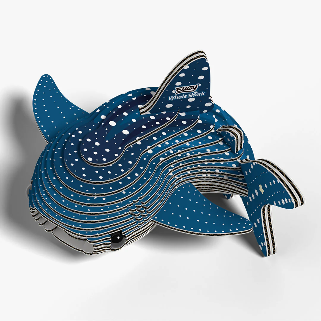 049 Whale Shark - Image 5