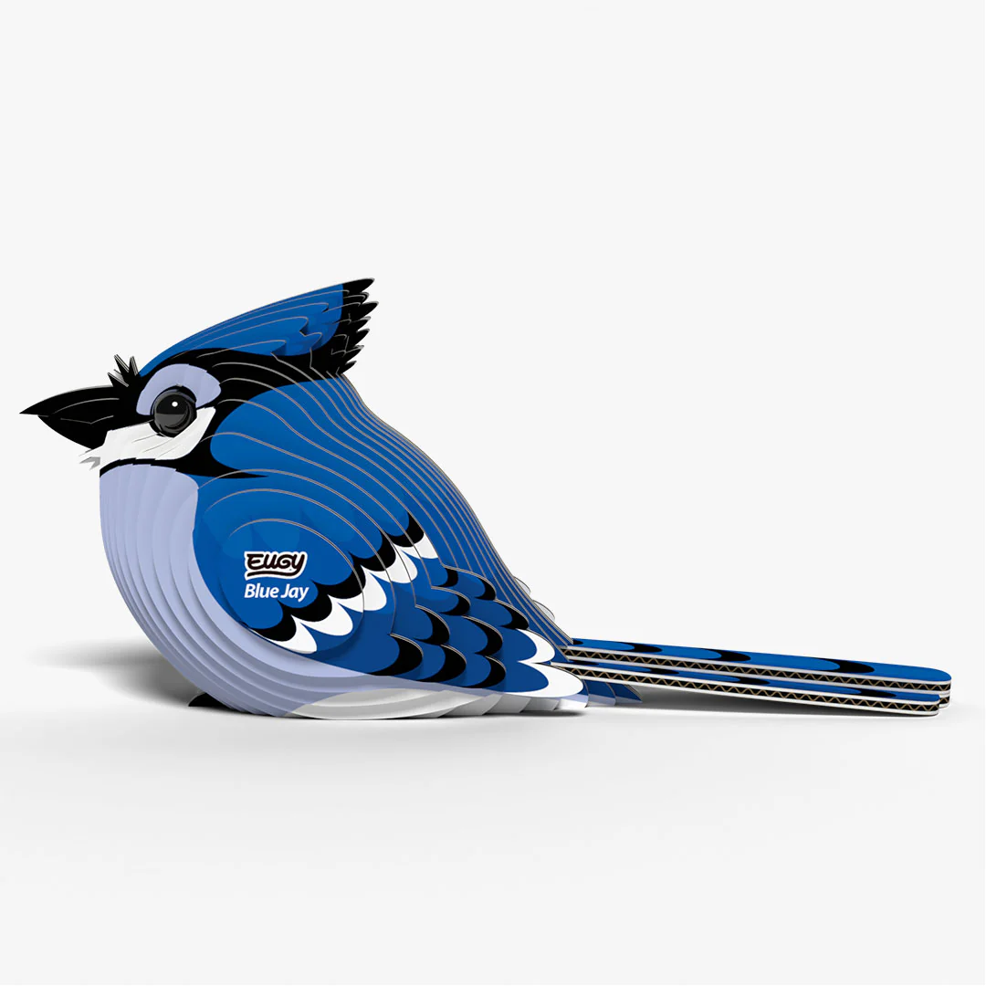 067 Blue Jay - Image 3