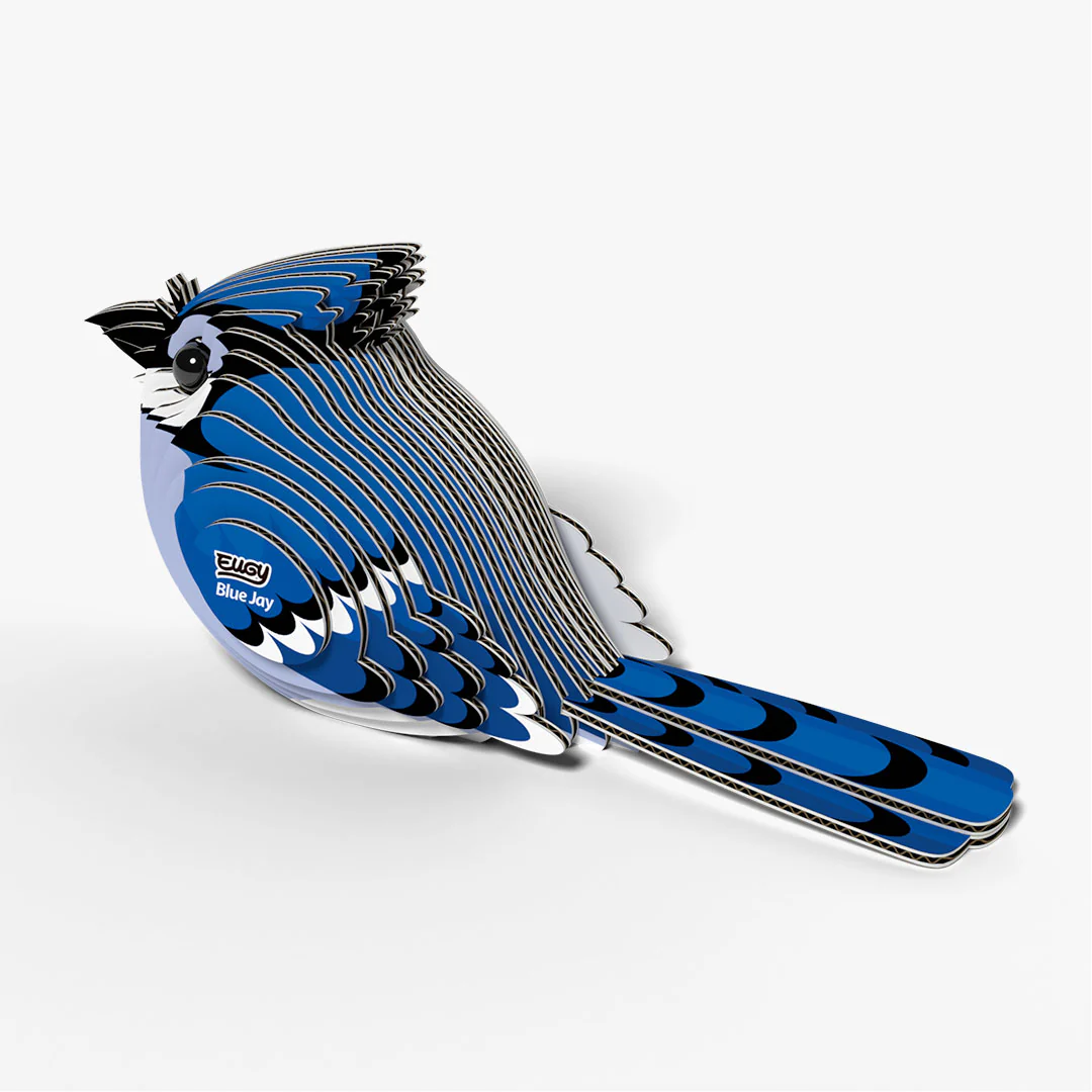 067 Blue Jay - Image 4