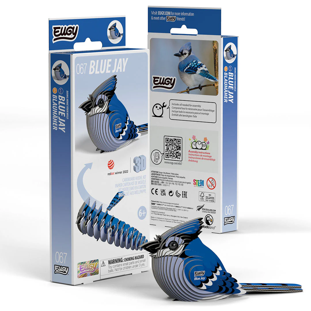 067 Blue Jay - Image 6