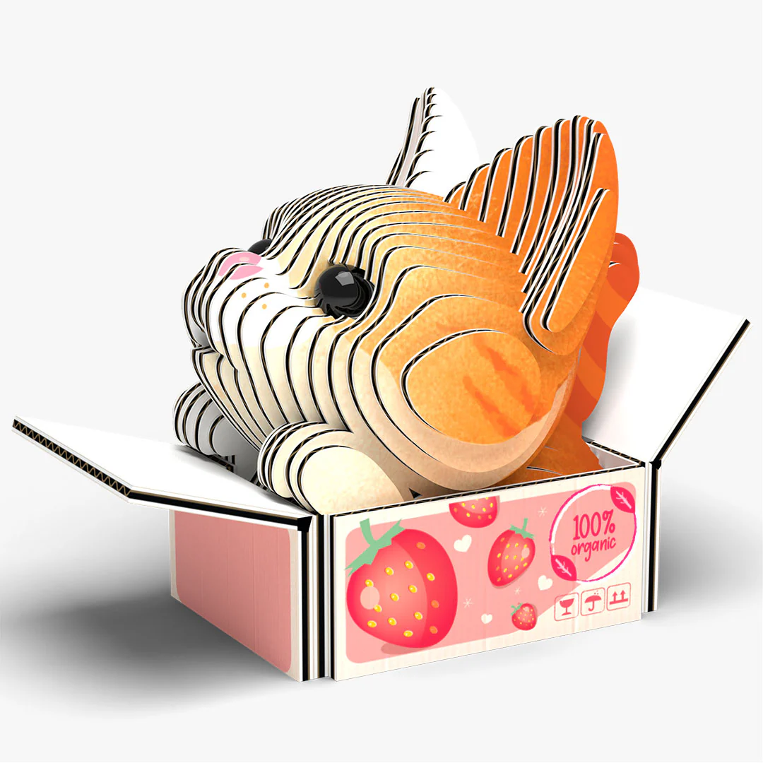 087 CAT Pumpkin - Image 2
