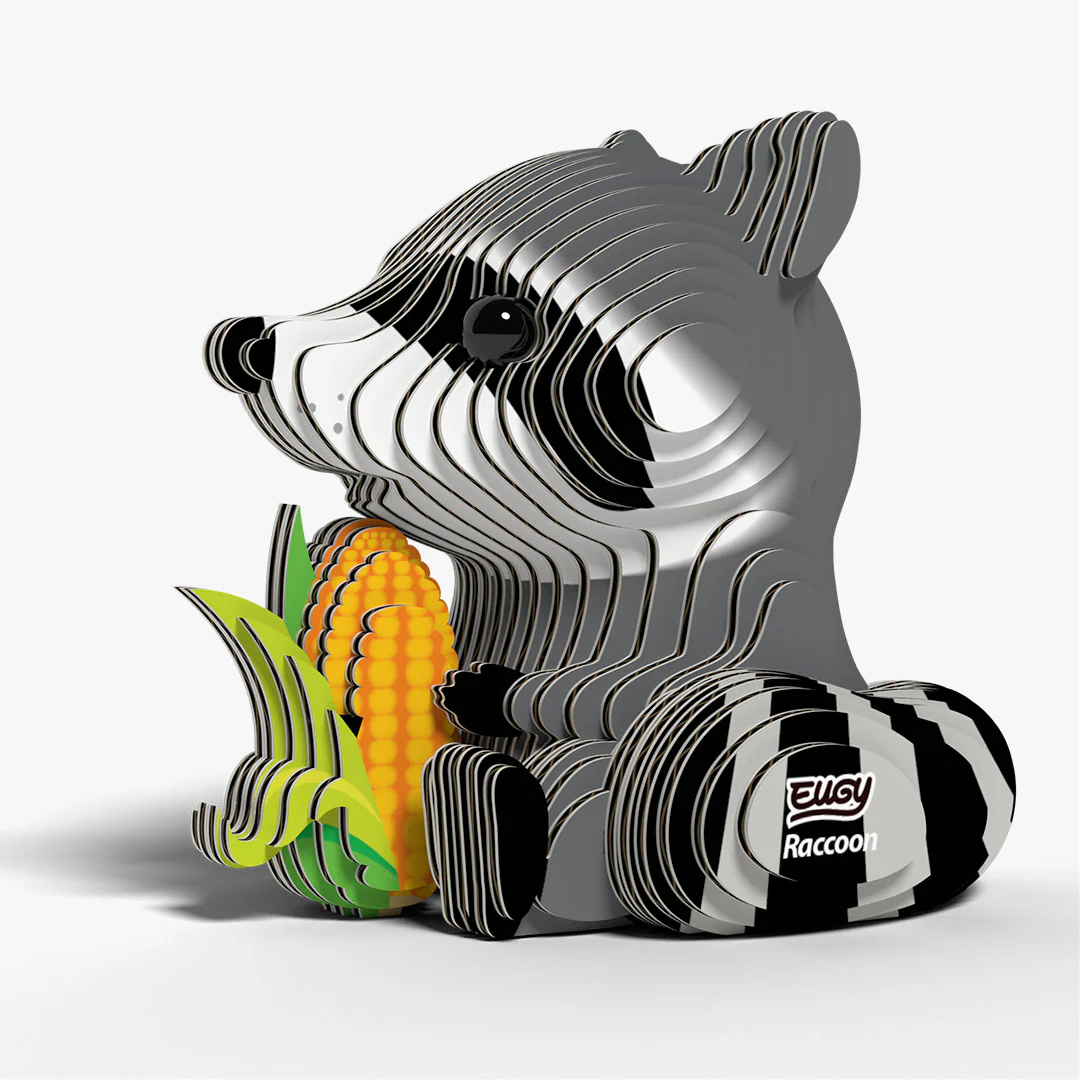 103 Raccoon - Image 2