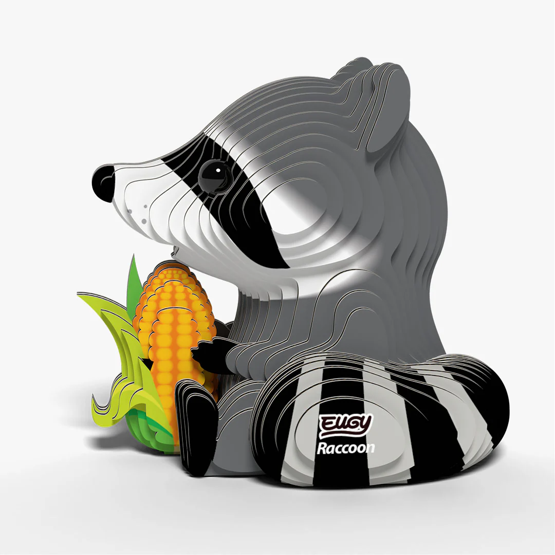 103 Raccoon - Image 3