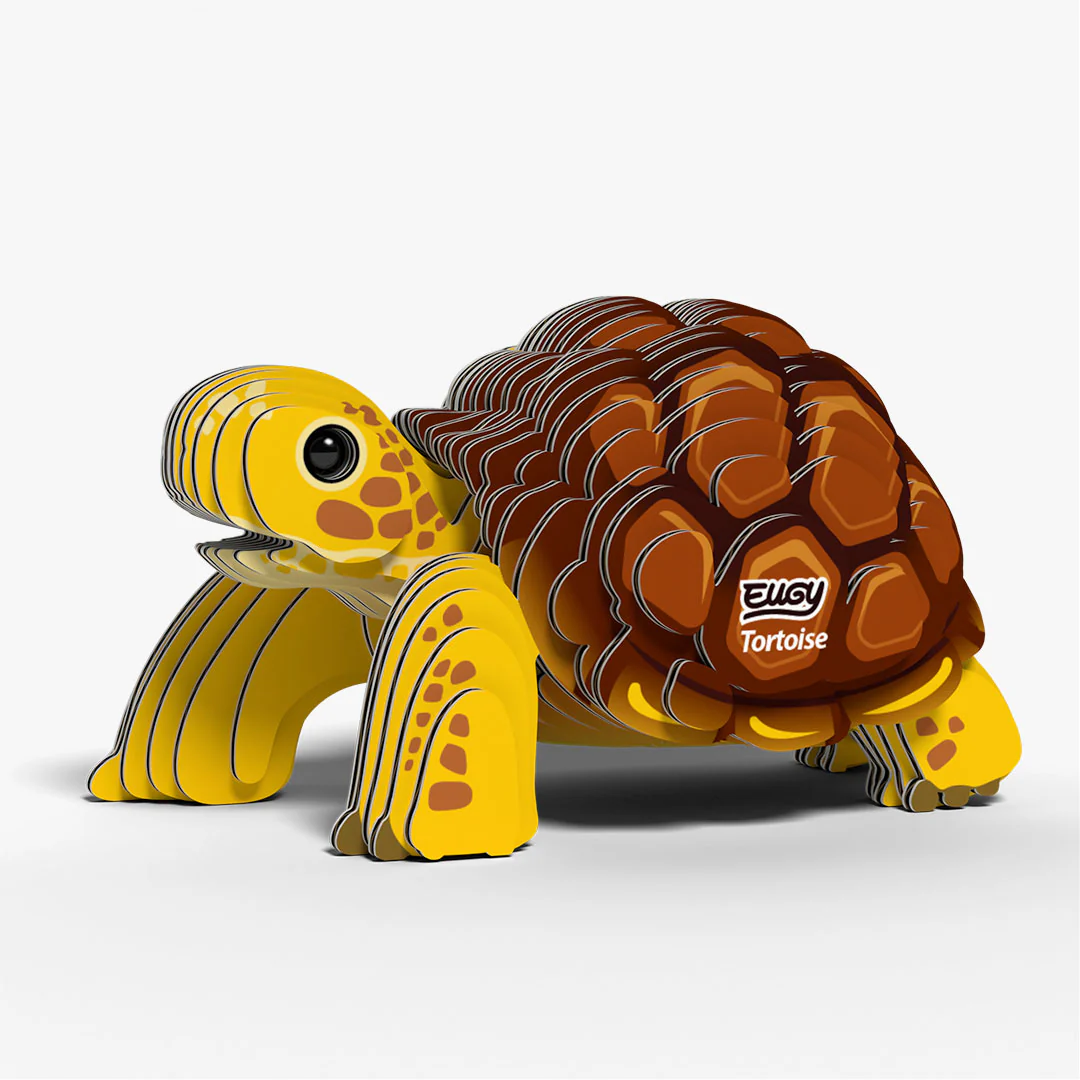 104 Tortoise - Image 2