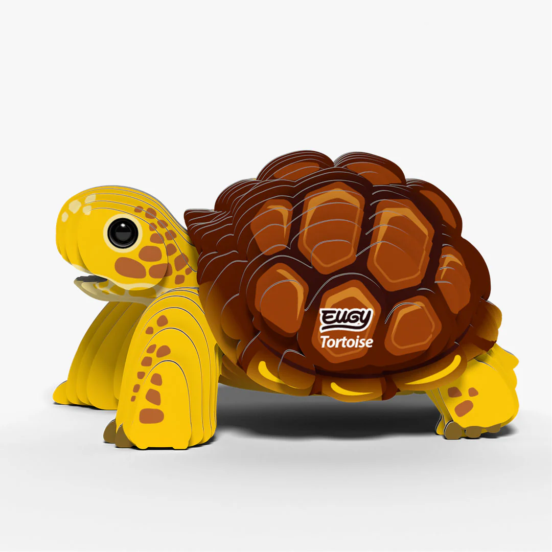 104 Tortoise - Image 3