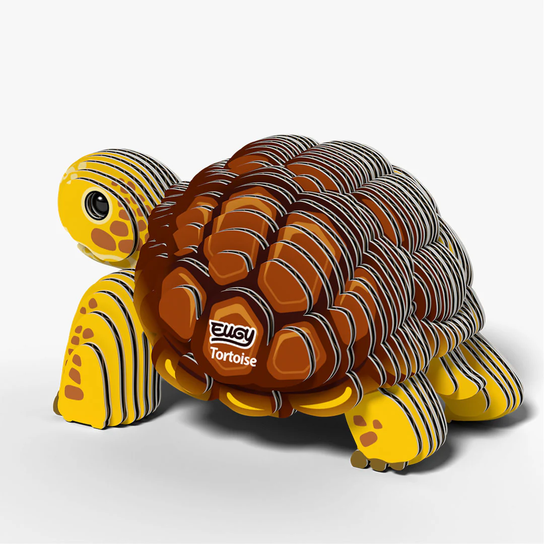 104 Tortoise - Image 4