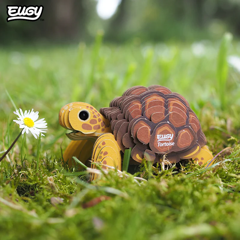 104 Tortoise - Image 7