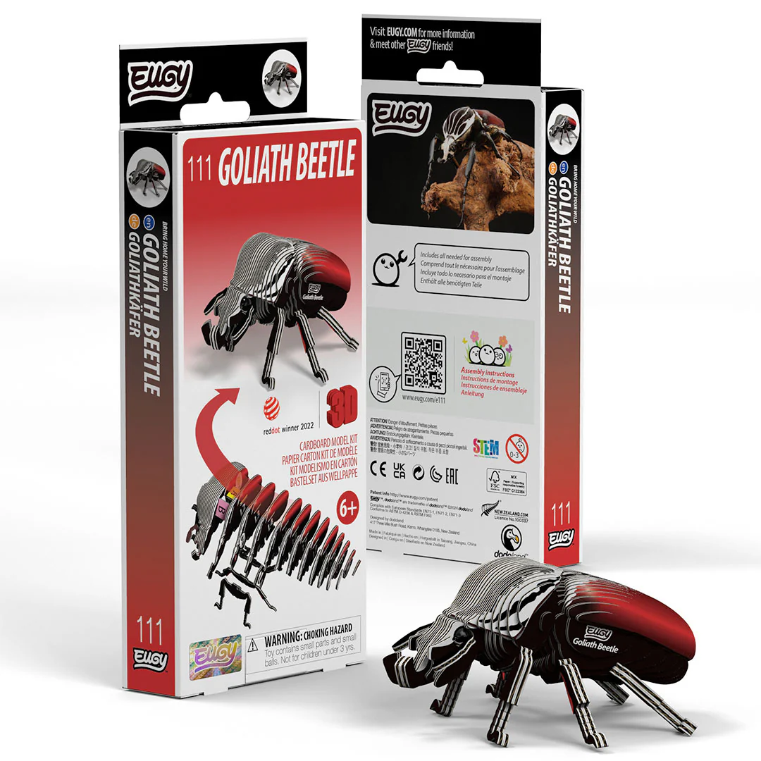 111 Goliath Beetle - Image 6
