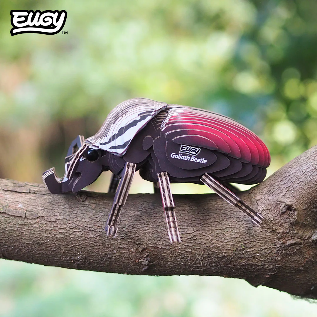 111 Goliath Beetle - Image 9
