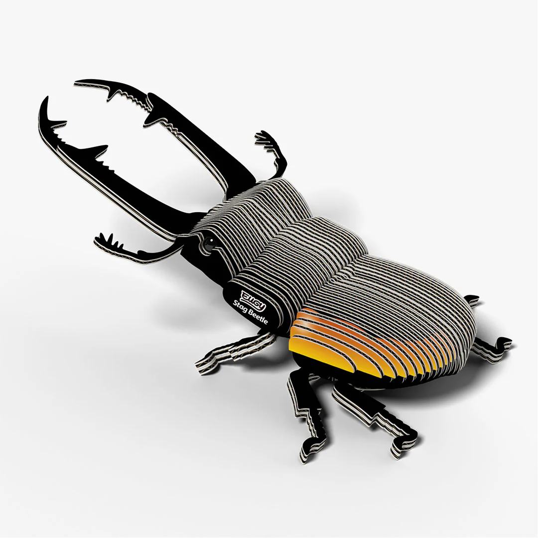 114 Stag Beetle - Image 4