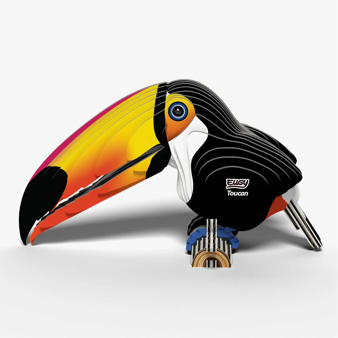 115 Toucan - Image 3