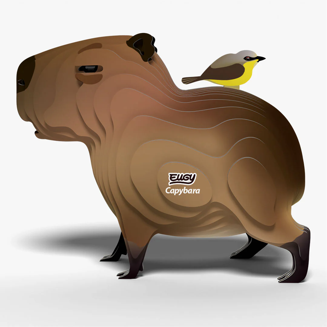 120 Capybara - Image 3