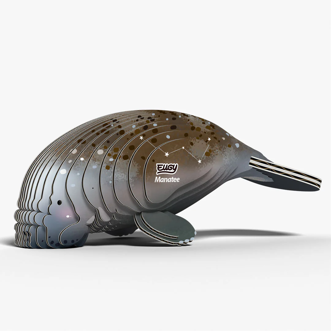 122 Manatee - Image 2