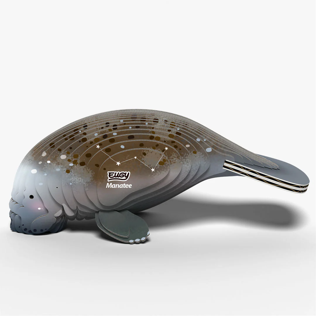 122 Manatee - Image 3