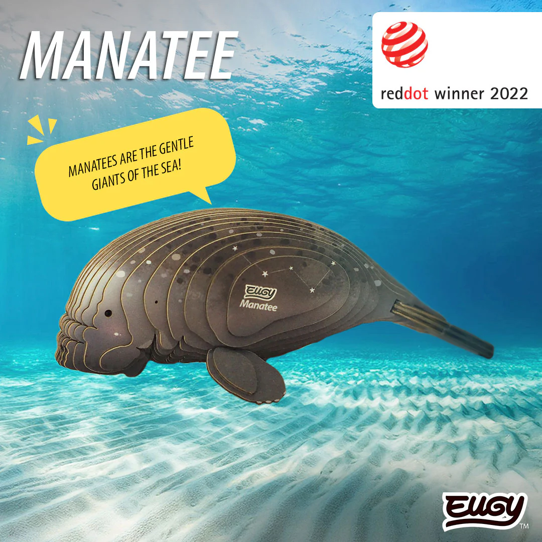 122 Manatee - Image 6