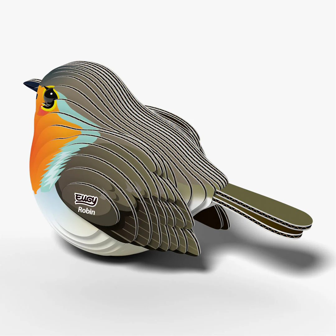 137 Robin - Image 4