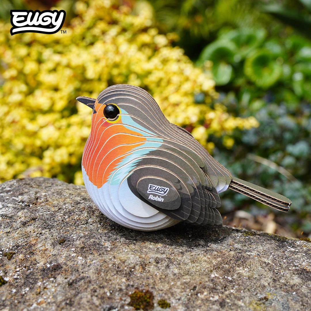 137 Robin - Image 8